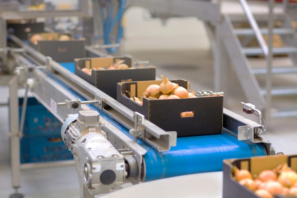 Significance and Impact of Food Processing