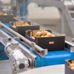 Significance and Impact of Food Processing